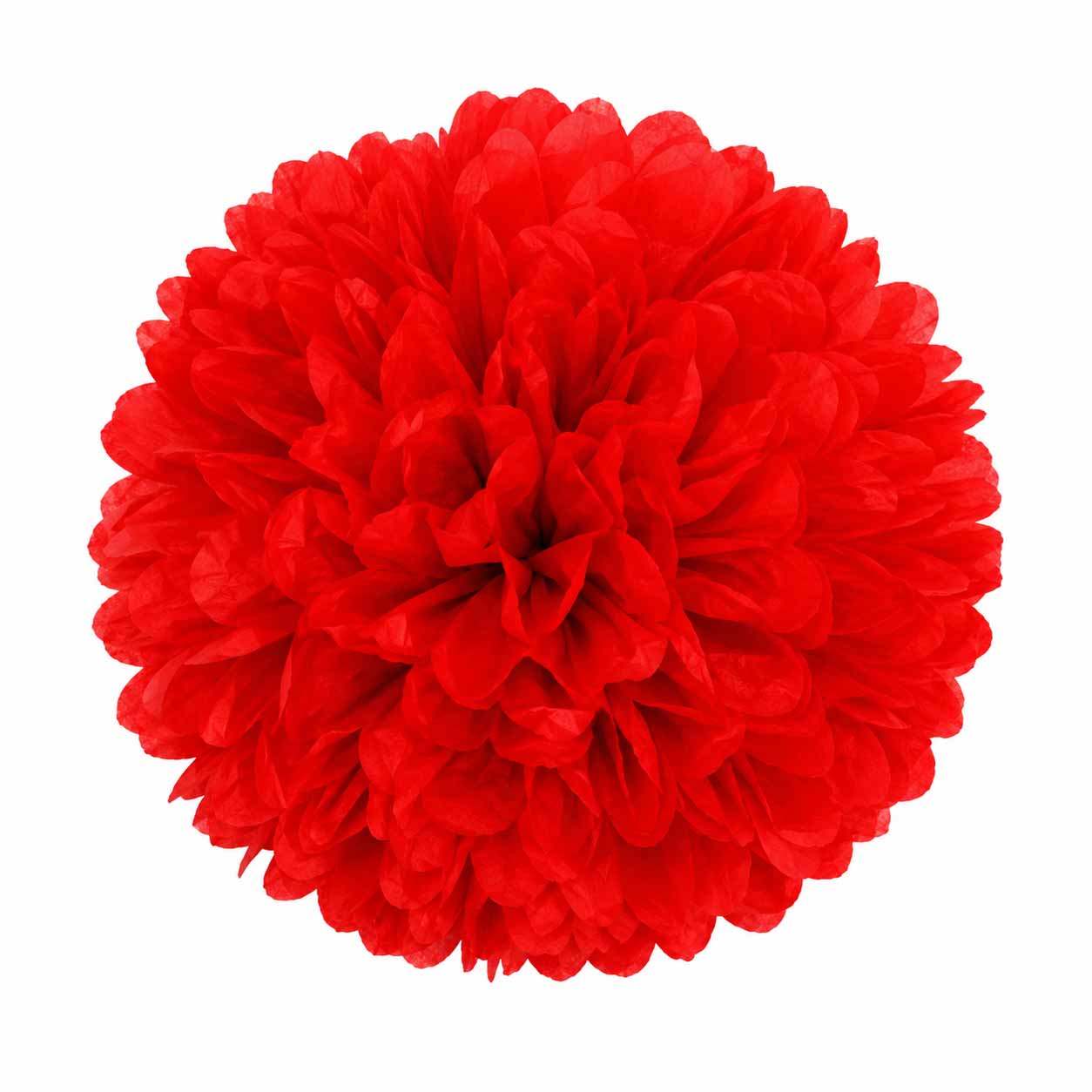 Eco-friendly Pom Pom Flowers